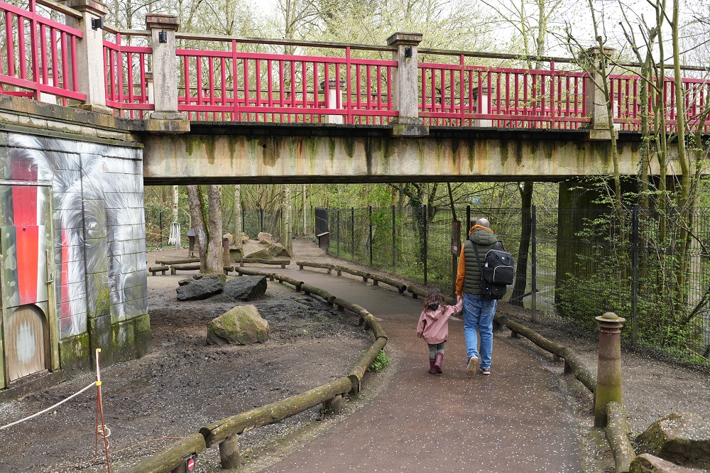 Odense Zoo in Denmark review