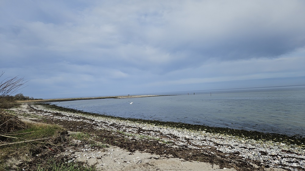 First Camp Bøsøre Strand camping in Denmark review