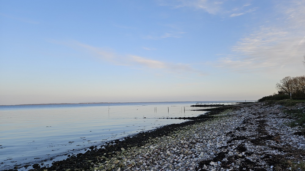 First Camp Bøsøre Strand camping in Denmark review